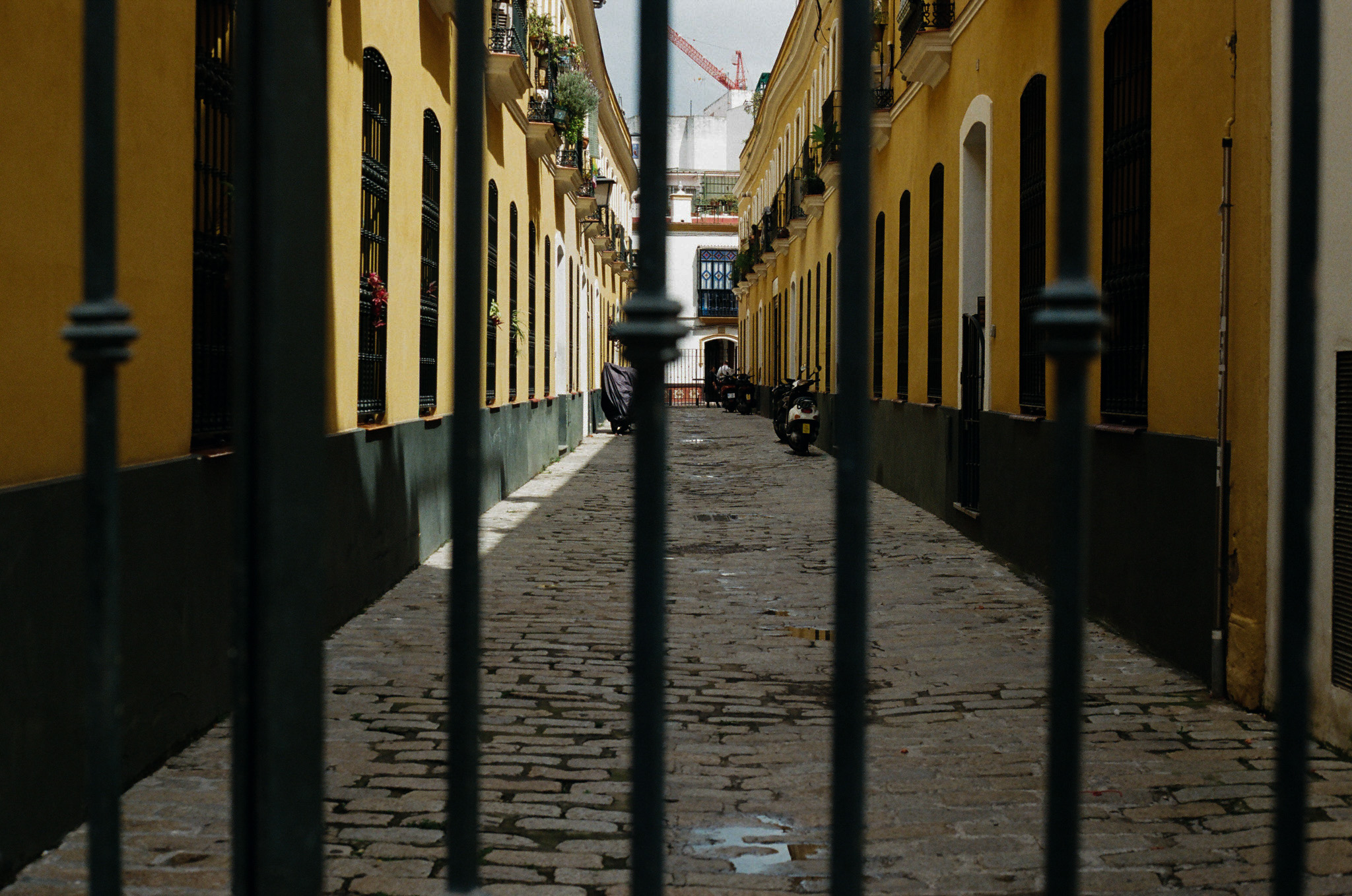 color-film - 15.jpg